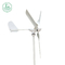 600W Wind Turbine Generator 3 Blades Wind Driven Generator Ukuran khusus
